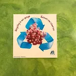 Corallo Artdesign 100 M From The * 卡门港