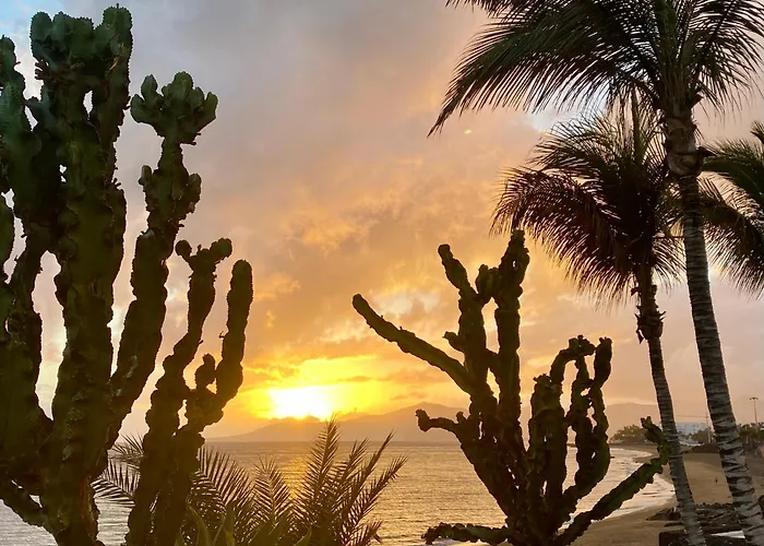 Corallo Artdesign 100 M From The Apartamento Puerto del Carmen (Lanzarote)