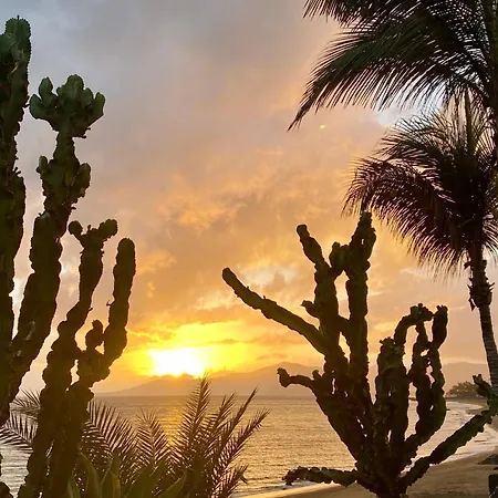 Corallo Artdesign 100 M From The Apartment Puerto del Carmen (Lanzarote)